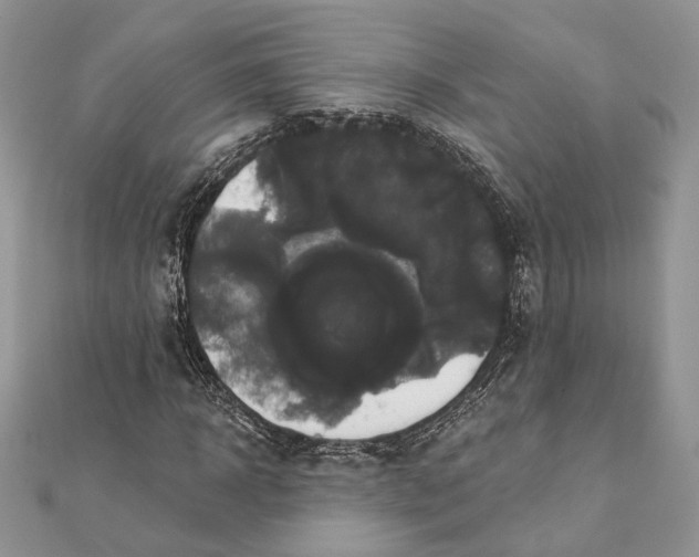 X0000111440918200908031349