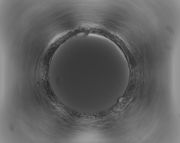 X0000111440919200908031349