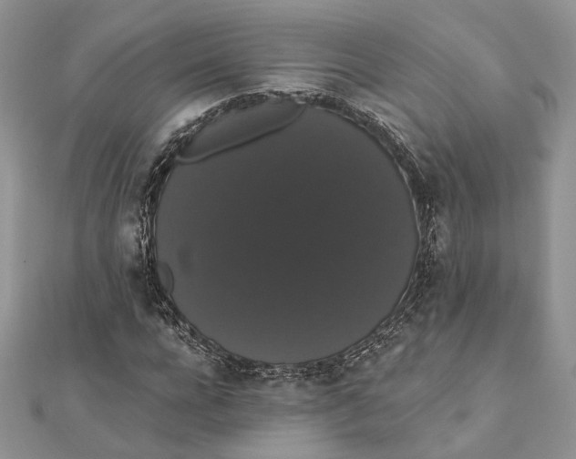 X0000111440920200908031349