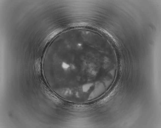 X0000111440921200908031349