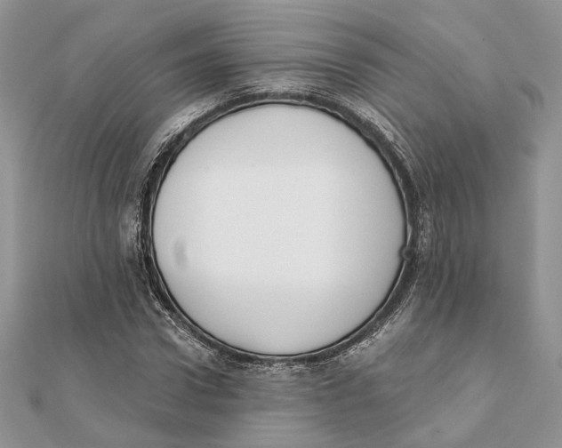 X0000111440922200908031349