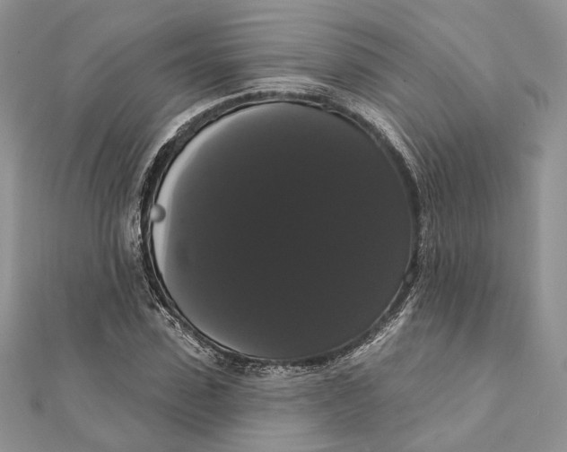 X0000111440923200908031349