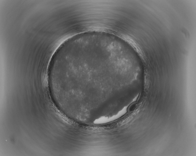 X0000111440924200908031349