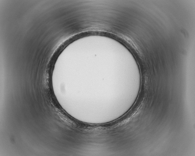 X0000111440926200908031349