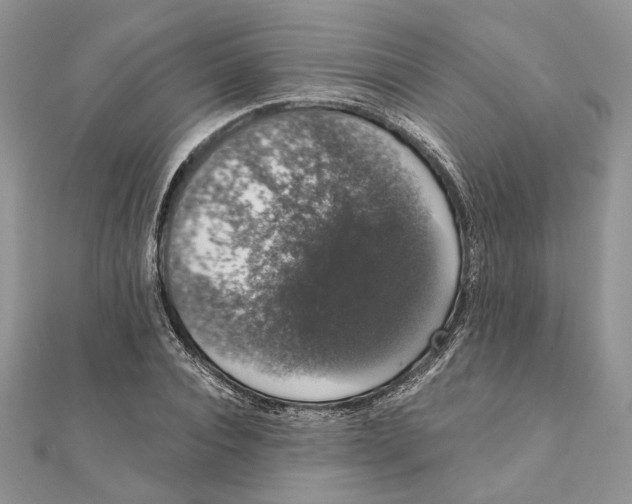 X0000111440928200908031349