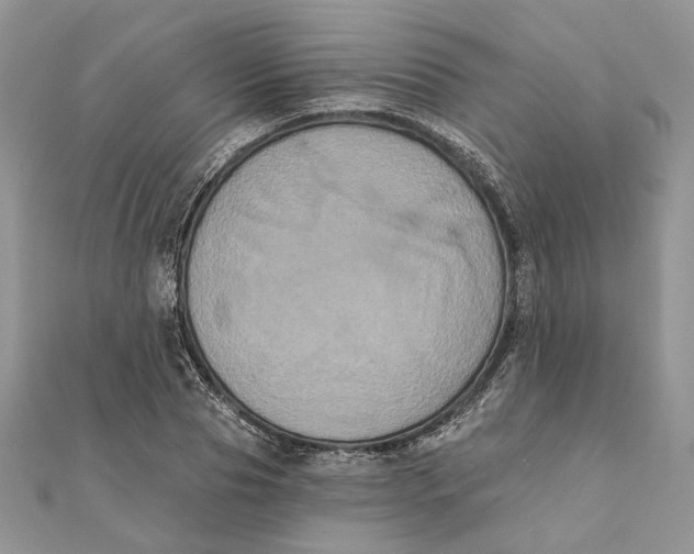 X0000111440929200908031349