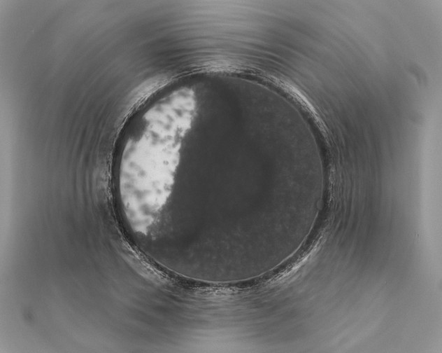 X0000111440930200908031349