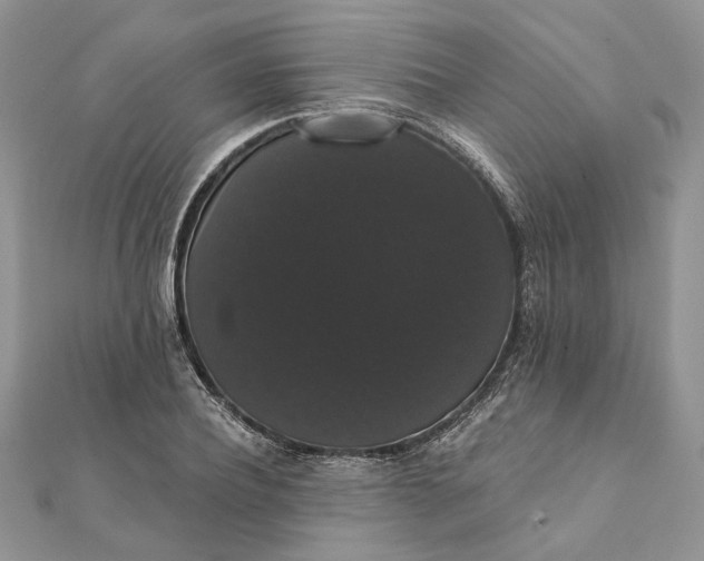 X0000111440932200908031349