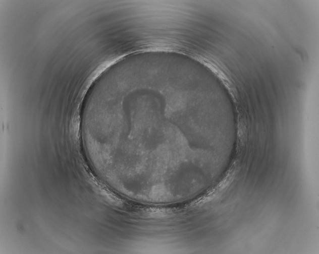 X0000111440933200908031349