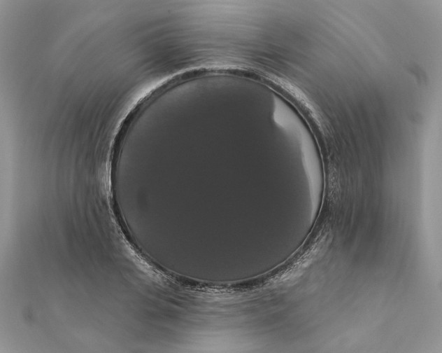 X0000111440935200908031349