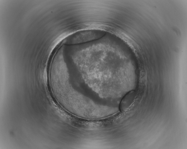 X0000111440936200908031349