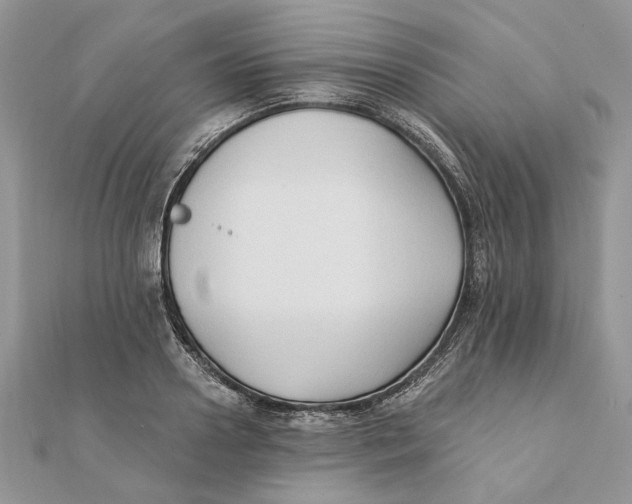 X0000111440938200908031349