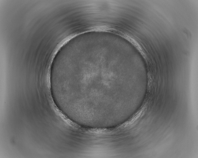 X0000111440939200908031349