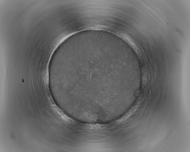 X0000111440940200908031349