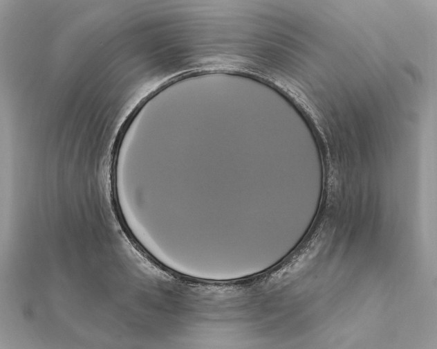 X0000111440941200908031349