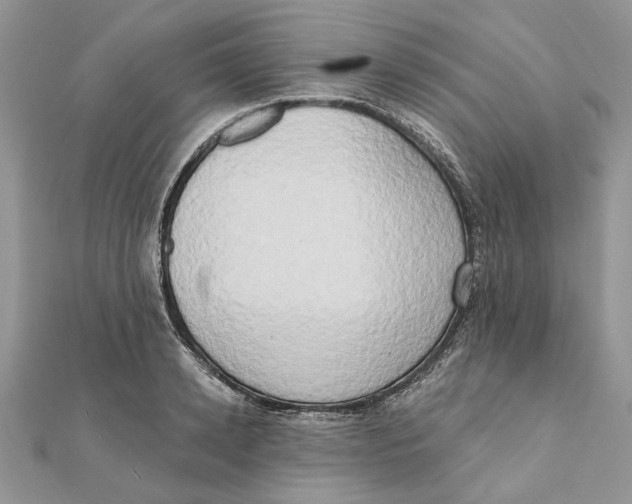 X0000111440942200908031349