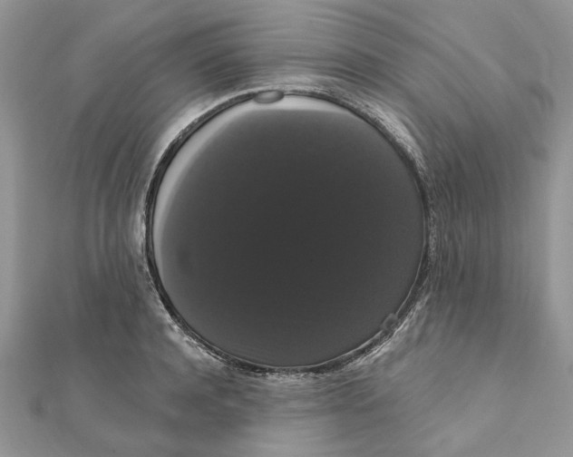 X0000111440944200908031349