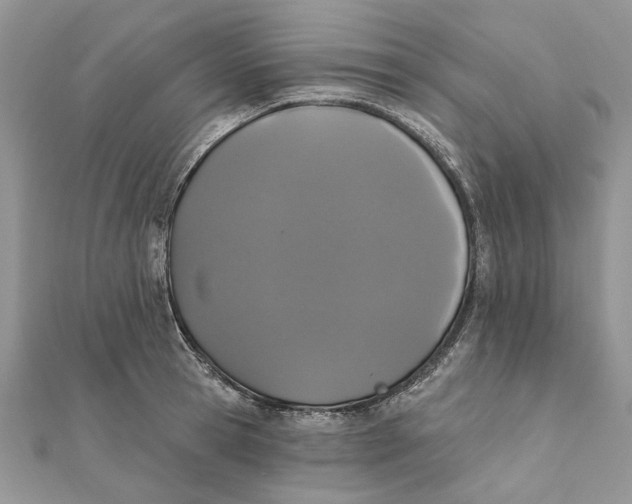 X0000111440945200908031349