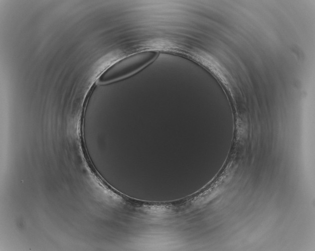 X0000111440946200908031349