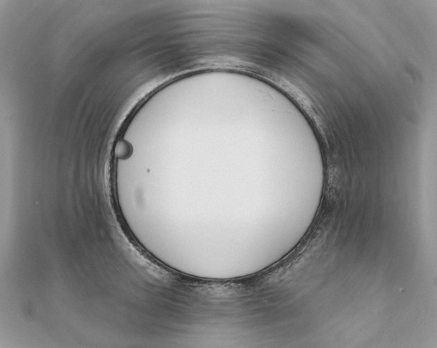 X0000111440947200908031350