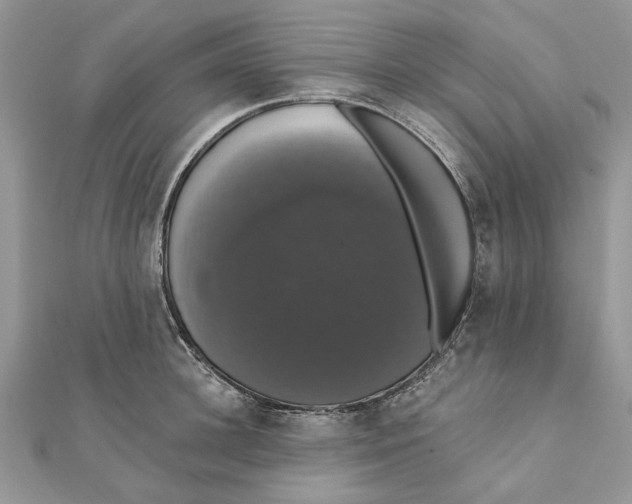 X0000111440948200908031350