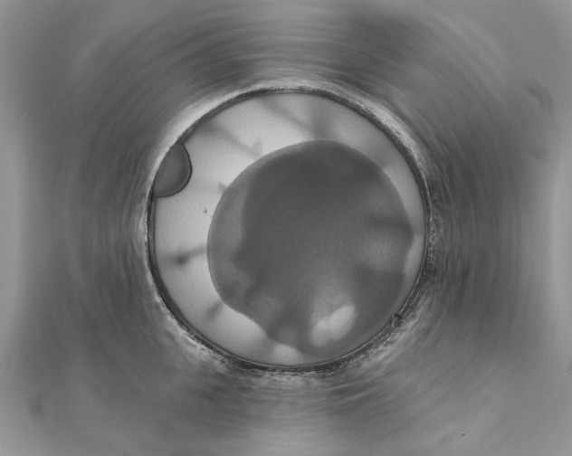 X0000111440951200908031350