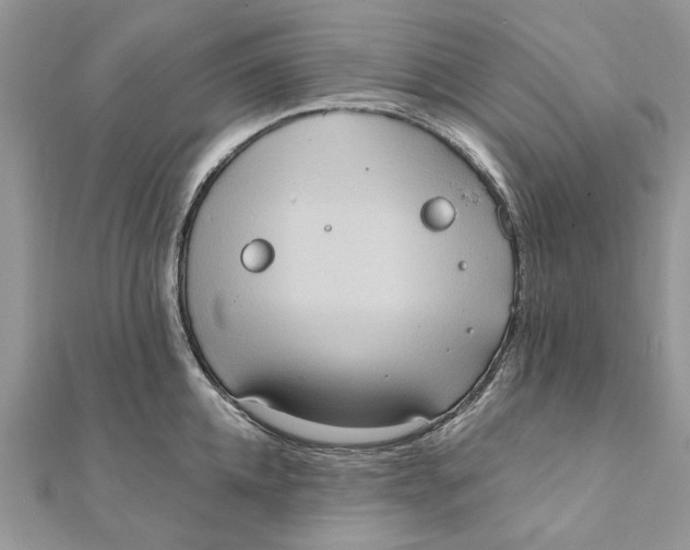 X0000111440952200908031350