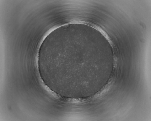 X0000111440955200908031350