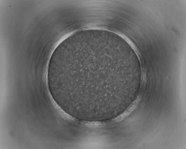 X0000111440957200908031350