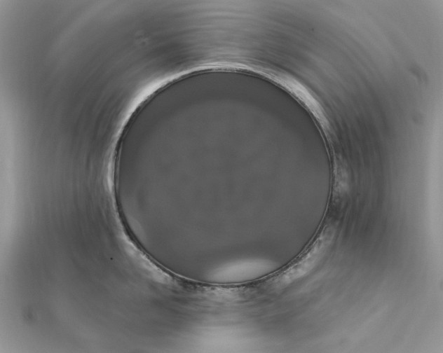 X0000111440958200908031350