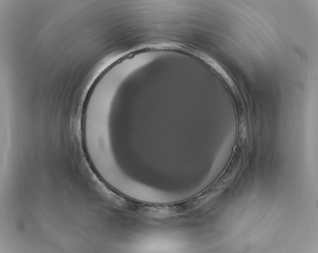 X0000111440959200908031350