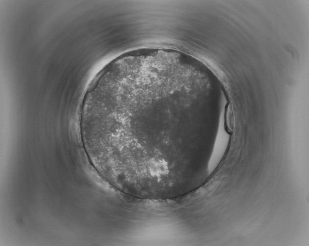 X0000111440960200908031350