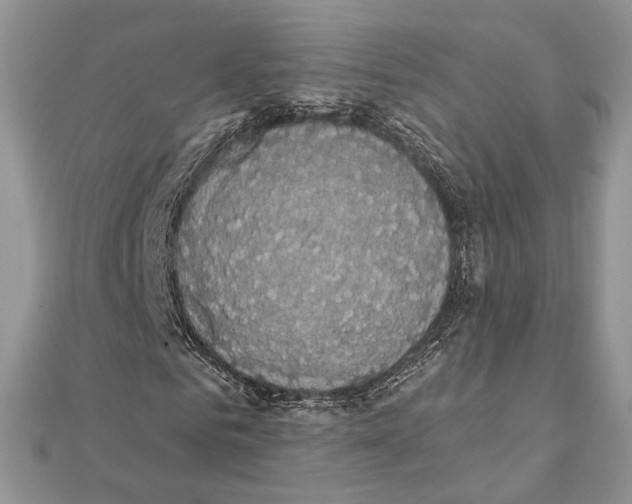 X0000111440961200908031349