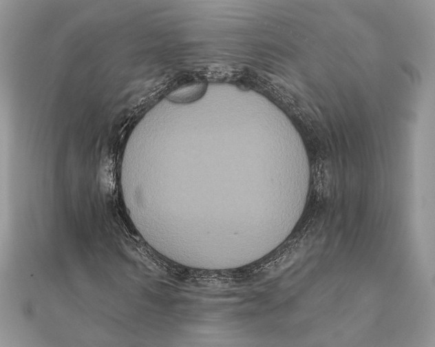 X0000111440962200908031349