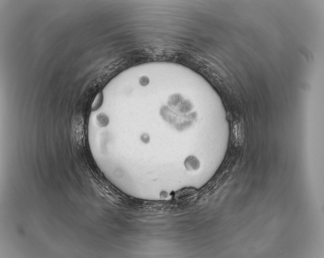 X0000111440963200908031349