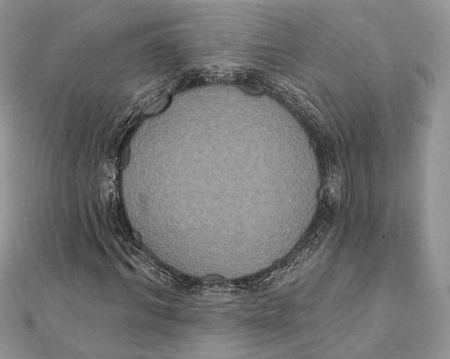 X0000111440964200908031349