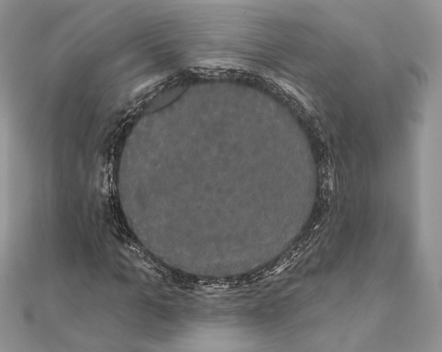 X0000111440965200908031349