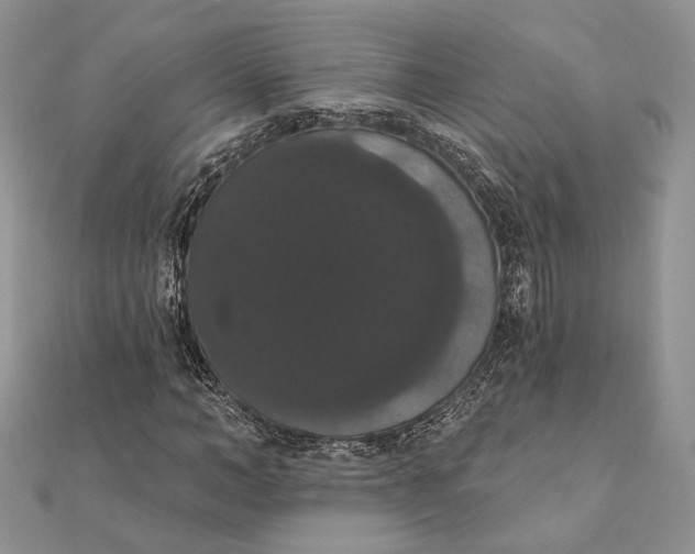 X0000111440966200908031349