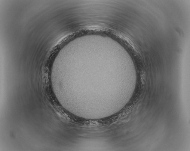 X0000111440968200908031349