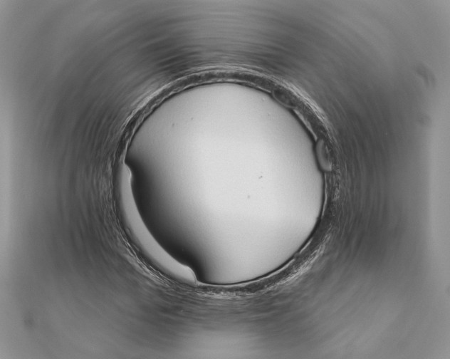 X0000111440969200908031349