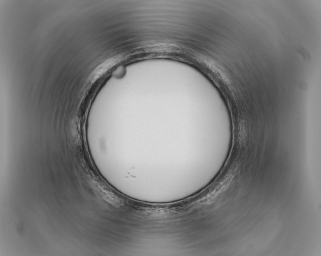 X0000111440970200908031349