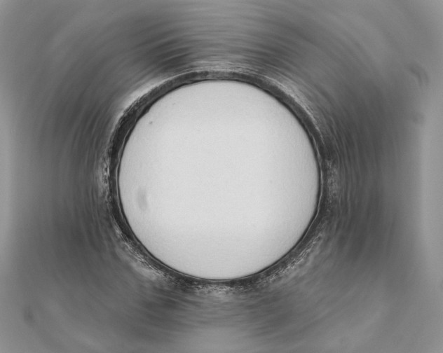 X0000111440971200908031349