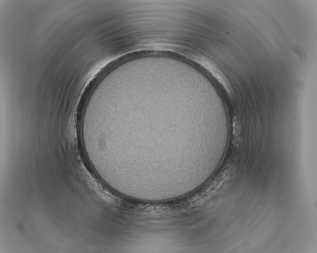 X0000111440972200908031349