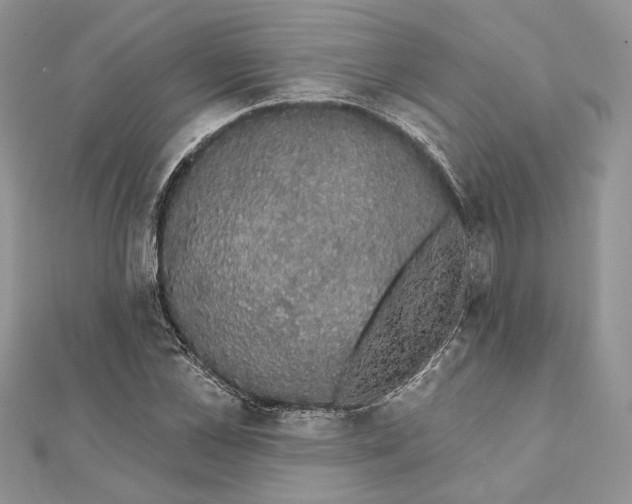 X0000111440973200908031349