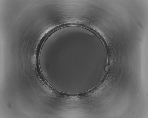 X0000111440975200908031349