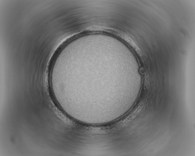 X0000111440976200908031349