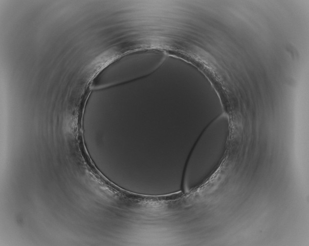 X0000111440977200908031349