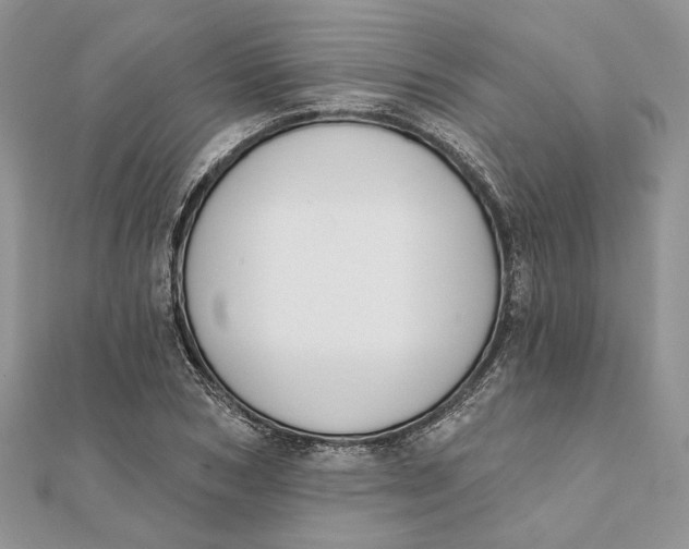 X0000111440978200908031349