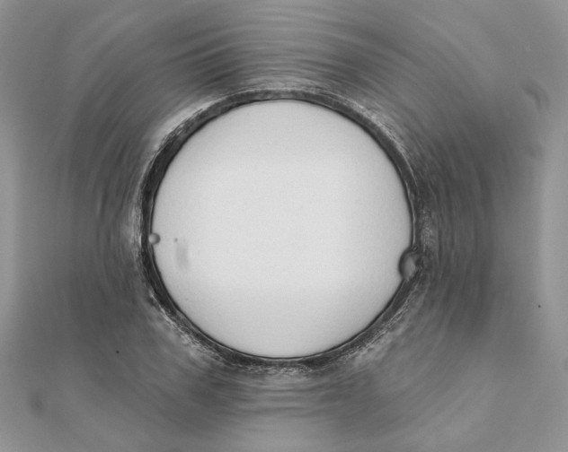 X0000111440979200908031349