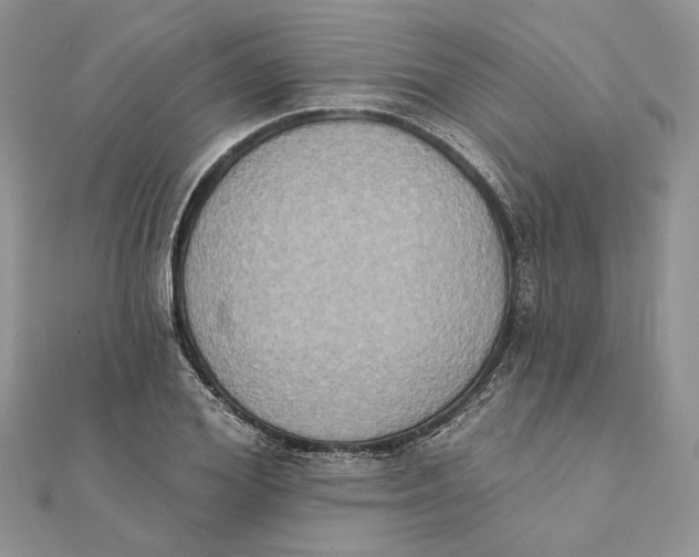 X0000111440980200908031349